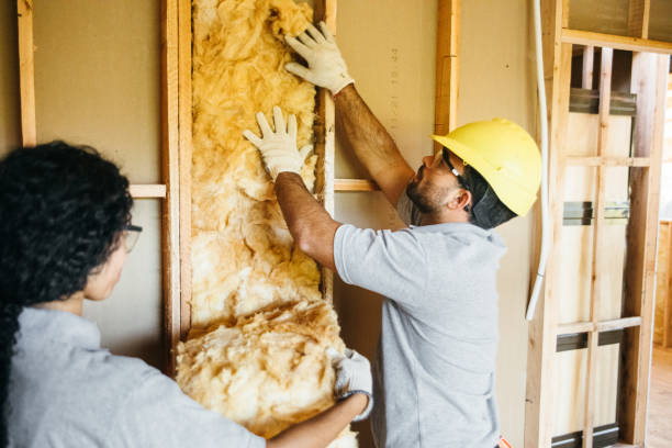 Best Garage Insulation  in Roessleville, NY